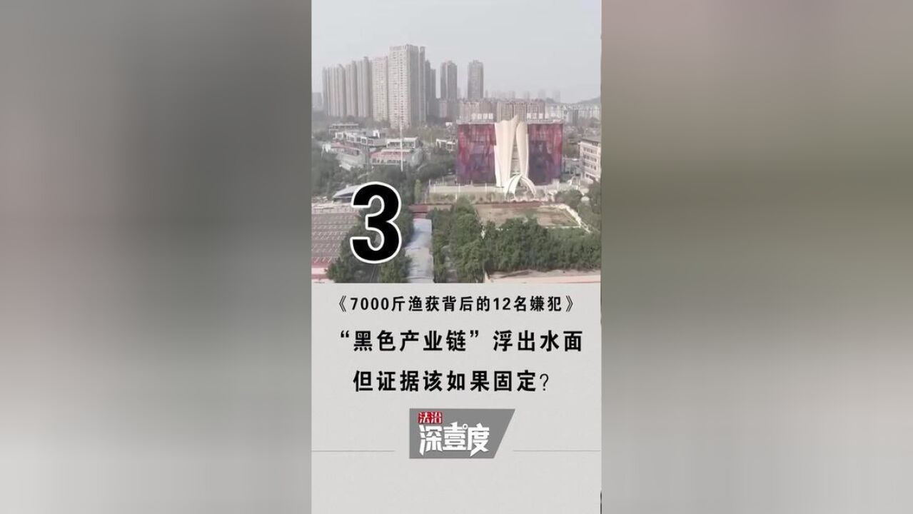 7000斤渔获背后的12名嫌犯3“黑色产业链”浮出水面,但证据该如何固定?