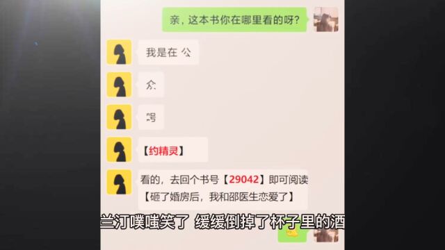 《砸了婚房后,我和邵医生恋爱了》兰汀邵季朗全集在线阅读