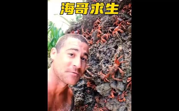 破解版荒野求生,就这资源,还求哪门子生,简直就是来度假的 \