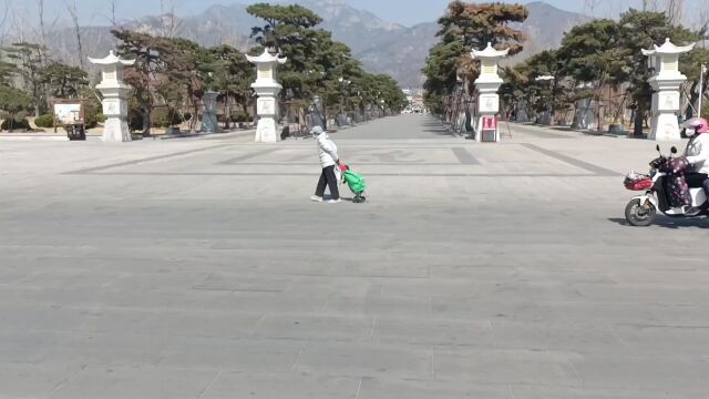 沿着岱庙广场直走就可以到达泰山脚底下,广场威武霸气,坡度很陡