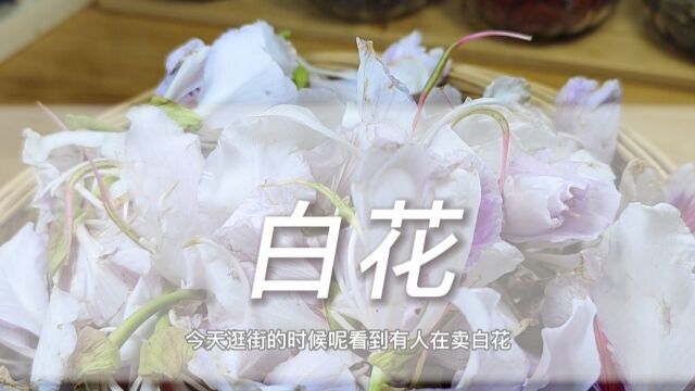 春天就该吃白花丫!白花=百花=春