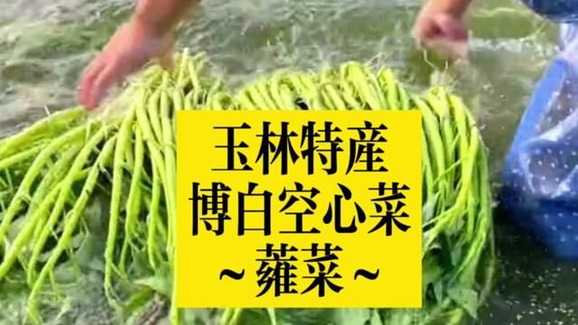 玉林土特产:博白蕹菜,素有广西素菜第一品美誉,你吃过了吗?#广西 #玉林 #博白 #优质农产品 #美食