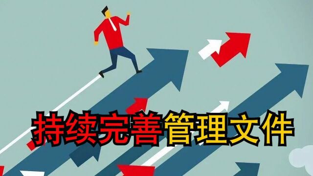 工厂管理实战支招:为什么要持续完善管理文件?#企业管理#执行