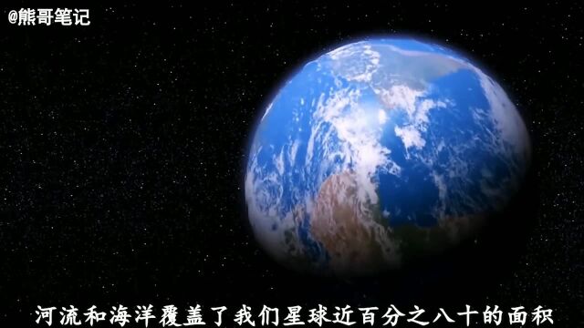 河流海洋中各种鱼类不可思议的一幕#动物世界#精彩片段