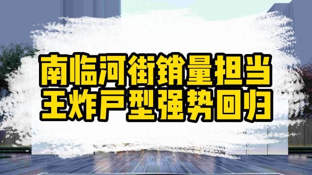 南临河街销量担当 王炸户型强势回归