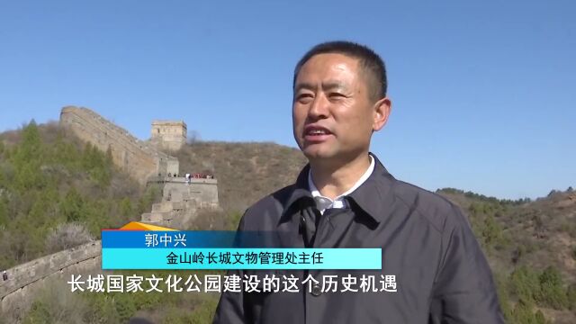 这么近 那么美 周末到河北丨第十七届承德国际旅游文化节暨金山岭长城第十一届杏花节开幕