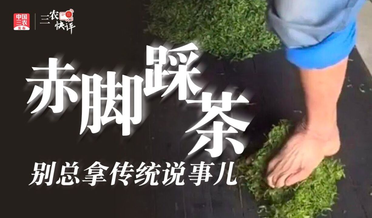 [三农快评]赤脚踩茶 别总拿传统说事儿