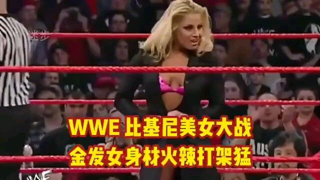 wwe 拳击与格斗