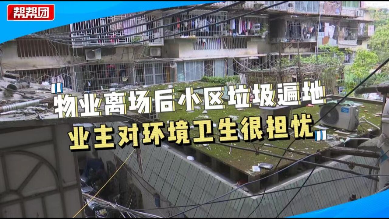 小区遍地垃圾卫生堪忧,业主盼迎新物业,社区:之前物业费还欠着