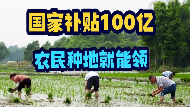 好消息又来了,农民种地就有补贴,共计100亿,你能领多少?