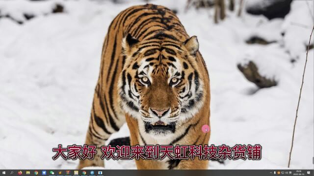 第1072期:免费论文下载中心.