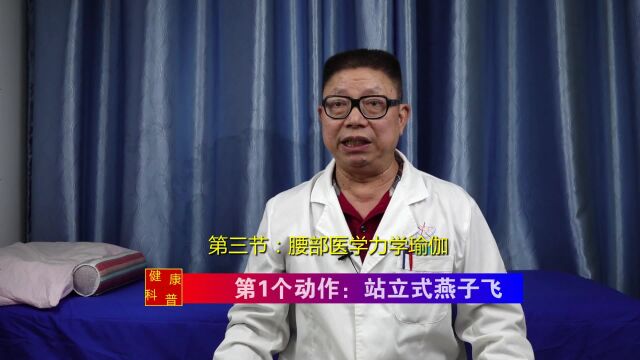 [医学力学瑜伽] 第三节 第1个动作:站立式燕子飞