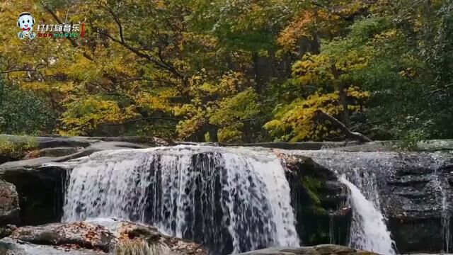 电子琴怀旧金曲,12首经典老歌联奏