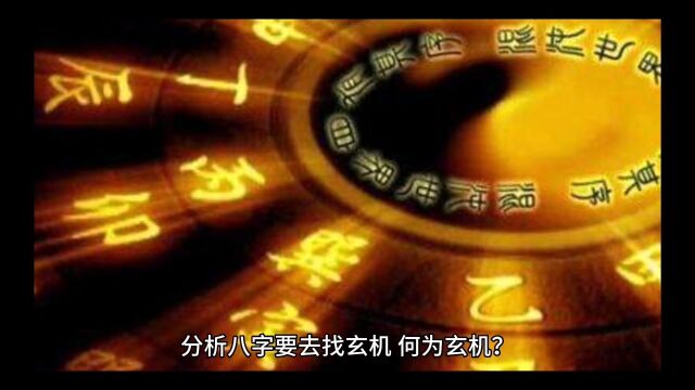 分析八字步骤