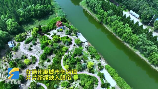 早安山东|文旅部:全国大部分地区旅游景区已实现应开尽开;旅居美国大熊猫“丫丫”踏上回国旅程;五一济南对外地车首次轻微违法不处罚 增添临时停车位