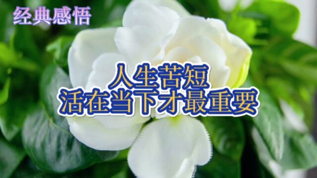 经典感悟人生苦短 活在当下才最重要