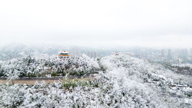 延安子长市:四月飘雪,一起来看这副银装素裹的谷雨春雪图