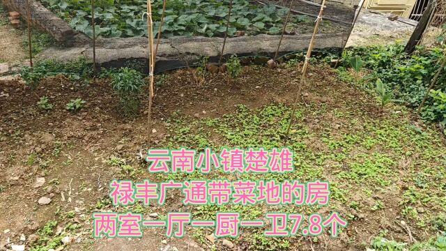 云南小镇楚雄禄丰广通带菜地的房两室一厅一厨一卫7.8个