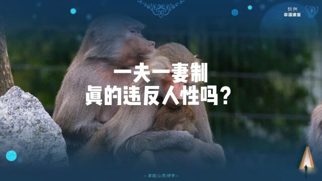 一夫一妻制真的违反人性吗?为什么说未来一夫一妻制可能会消失?