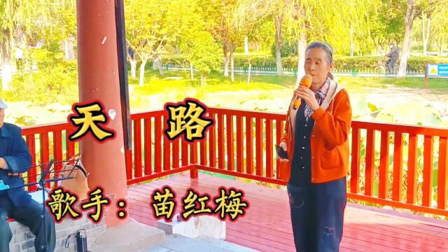 苗红梅演唱《天路》一条条巨龙翻山越岭 为雪域高原送来安康