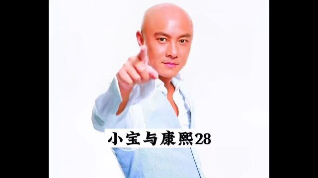 《归辛树篇》:旷世之战!神拳无敌归辛树与一剑无雪冯锡范迎来终极对决,华山三人组殒命皇宫#影视解说