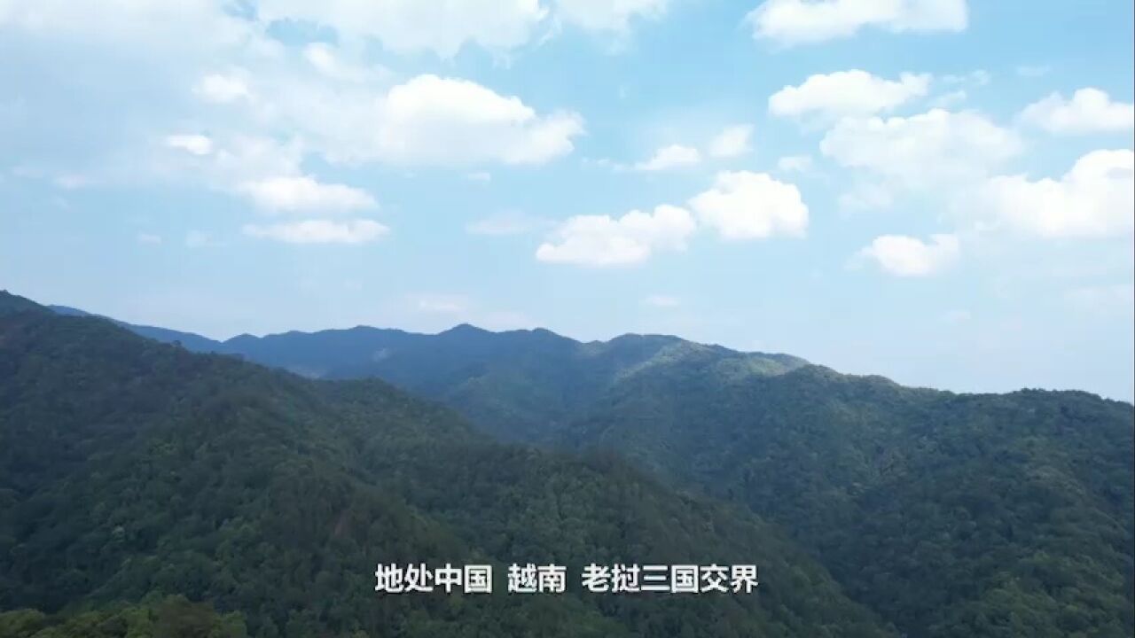 太出片了!探秘云南隐藏打卡点:十层大山