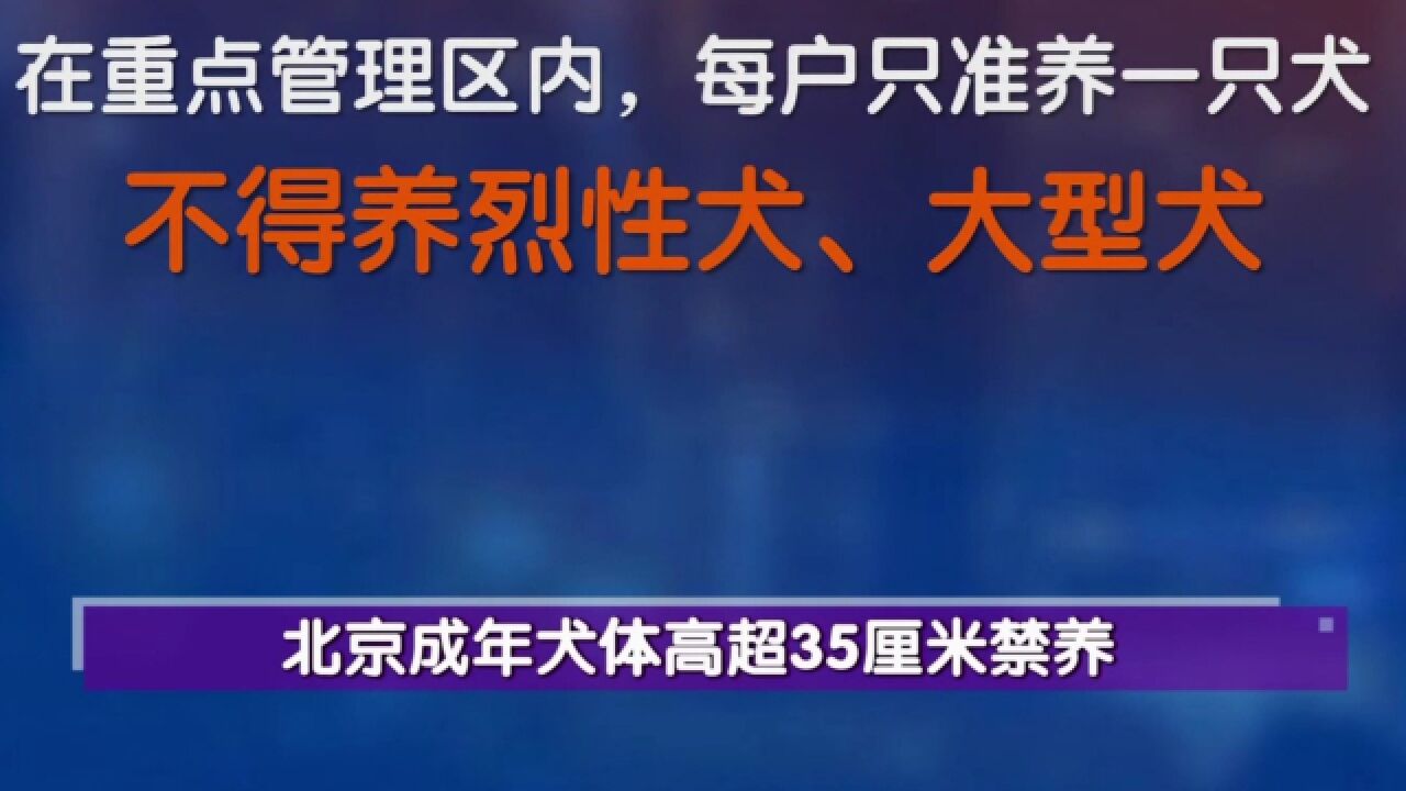 北京养犬管理规定每家只能养一只