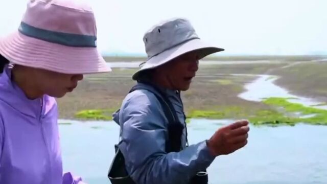 琼北地区,北邻琼州海峡和北部湾,是极具特色的火山海岸