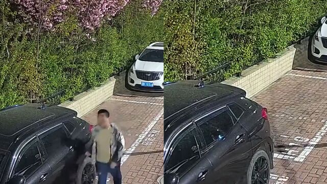 男子凌晨上街拿利器划车,整条街的车无一幸免,划痕又长又深