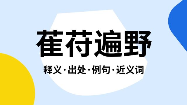 “萑苻遍野”是什么意思?