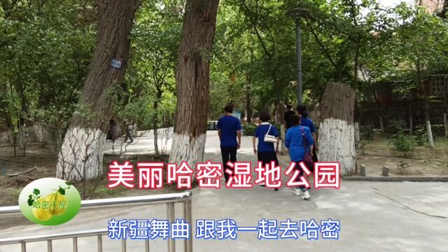 美丽哈密湿地公园