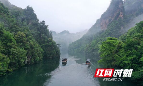 张家界:雾漫宝峰湖 山水入画来(组图)