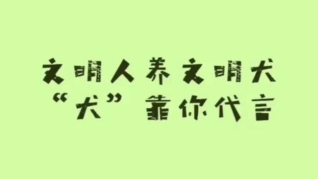 文明人养文明犬,犬靠你代言哦#每个生命都应该被尊重 #领养代替购买 #莆田市动物保护协会