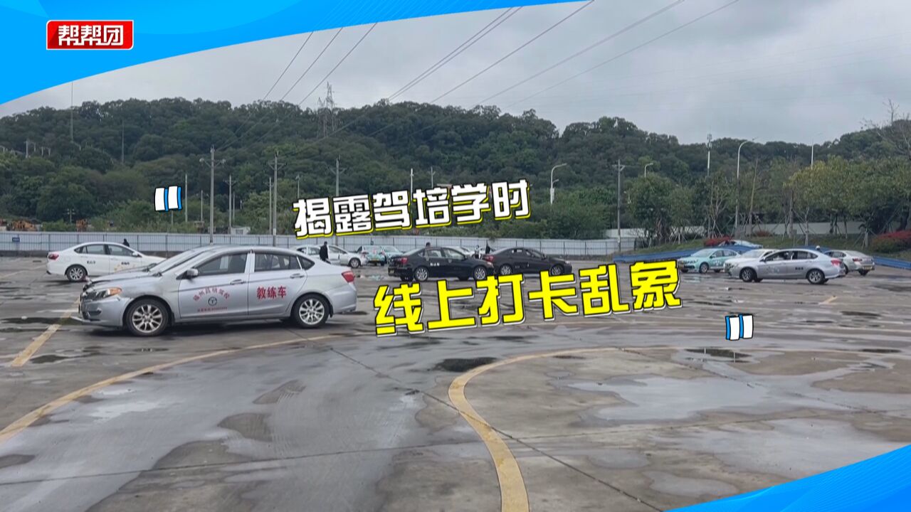 报考驾照 线上学习得下载一款付费软件?部分驾校被曝打卡造假