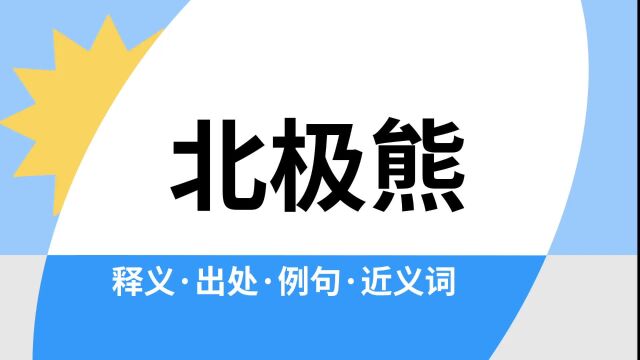 “北极熊”是什么意思?