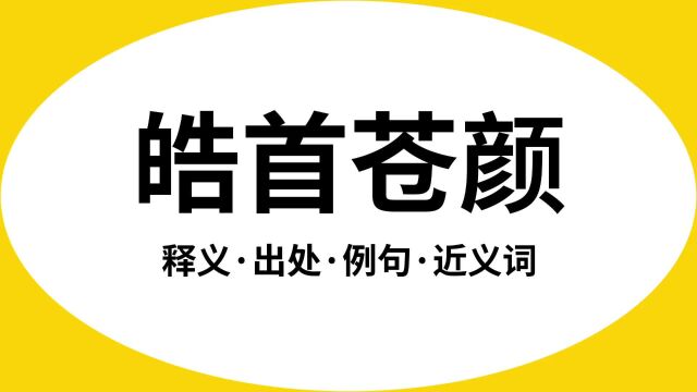 “皓首苍颜”是什么意思?