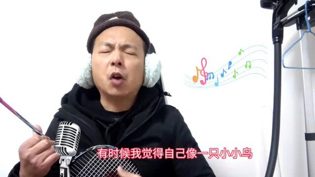 经典歌曲《我是一只小小鸟》,80后的一首老歌