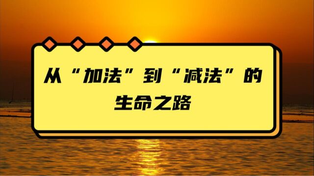 哲学智慧:从“加法”到“减法”的生命之路