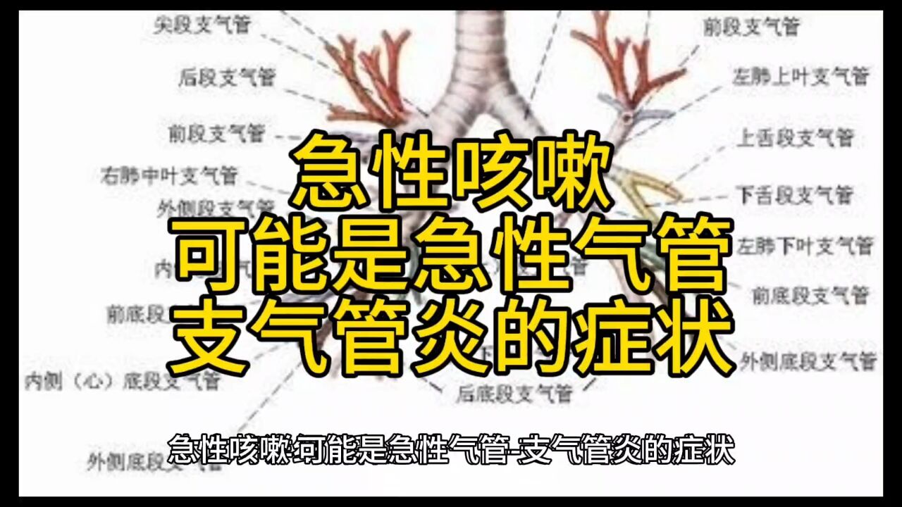 急性咳嗽,可能是急性气管支气管炎的症状