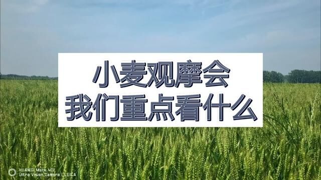 #分享农业知识帮农民增产增收 #支持三农扶持三农发展 #农业技术推广 #农业人话农业