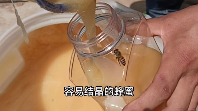 蜂蜜水的作用与功效如何辨别蜂蜜的真假和纯度蜂蜜到底是结晶的好还是不结晶的好 #蜂蜜 #三农 #优质农产品 蜂王浆蜂胶蜂花粉关注小牛蜂蜜带你了解更多...