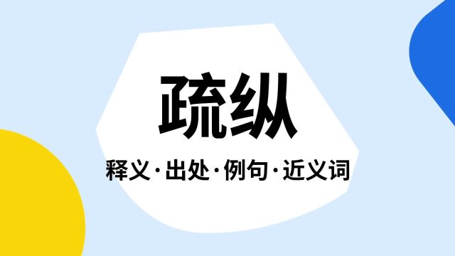 “疏纵”是什么意思?