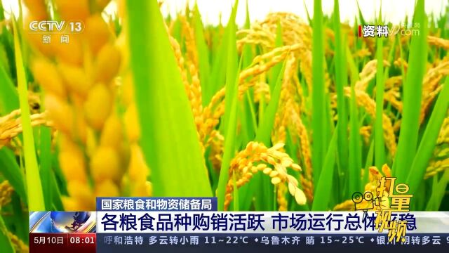 国家粮食和物资储备局:2022年度秋粮收购总量达近三年最高水平