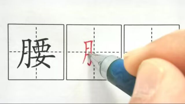 腰,三下课文17我变成了一棵树