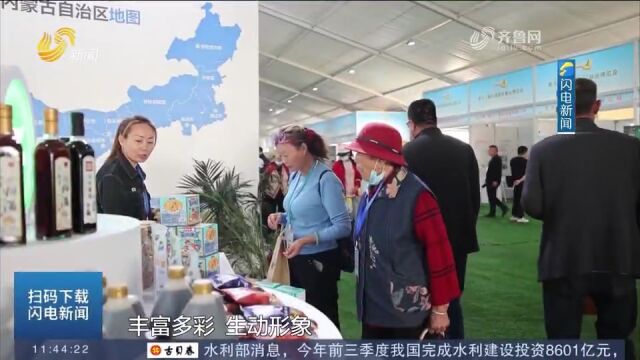 首次在田间地头开展会!第十三届中国国际薯业博览会在滕州举办