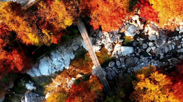 光雾山风景