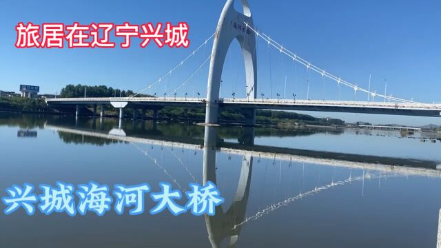 旅居在辽宁兴城湿地公园,美丽兴城