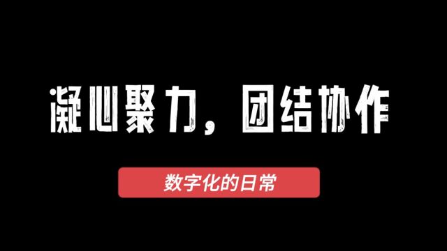 网络与解决方案部凝心聚力,团结协作