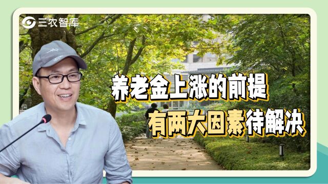 农村养老金该不该上涨?吕德文:政府财政压力、老人意愿两大因素需解决