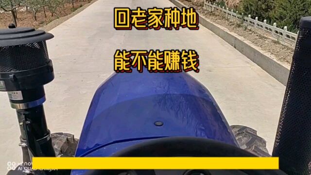 回老家种地能不能赚钱?用实践去检验